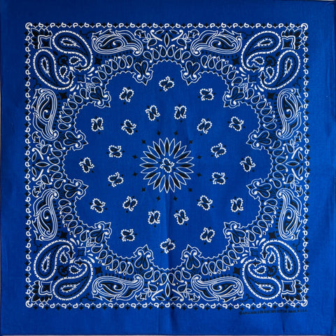 ⭐︎ぞうさん専用⭐︎HOORSENBUHS　 PAISLEY BANDANA ACCESSORIES – HOORSENBUHS