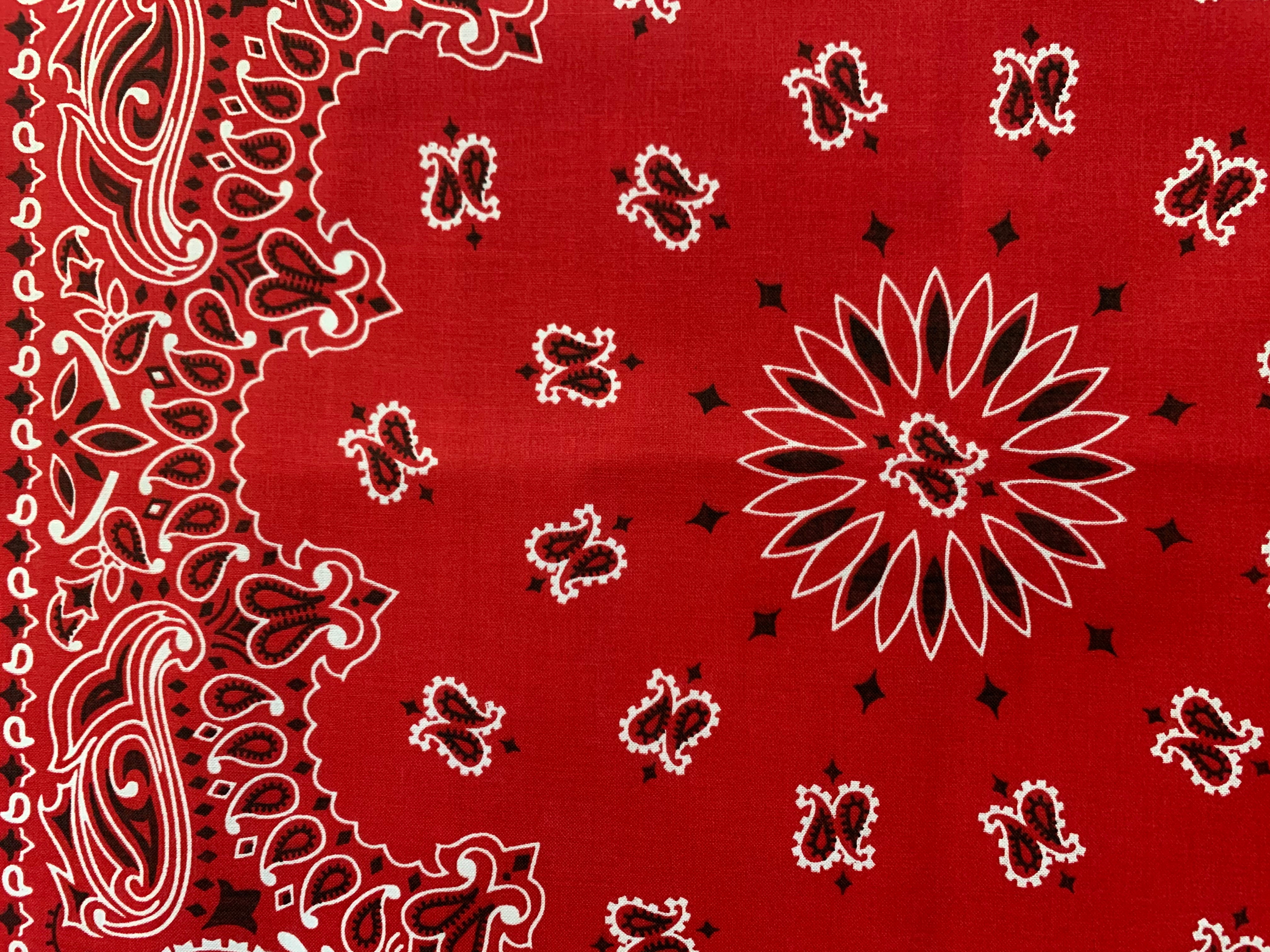 Red Classic Paisley Chainstitched Bandana | Rancho Sueño