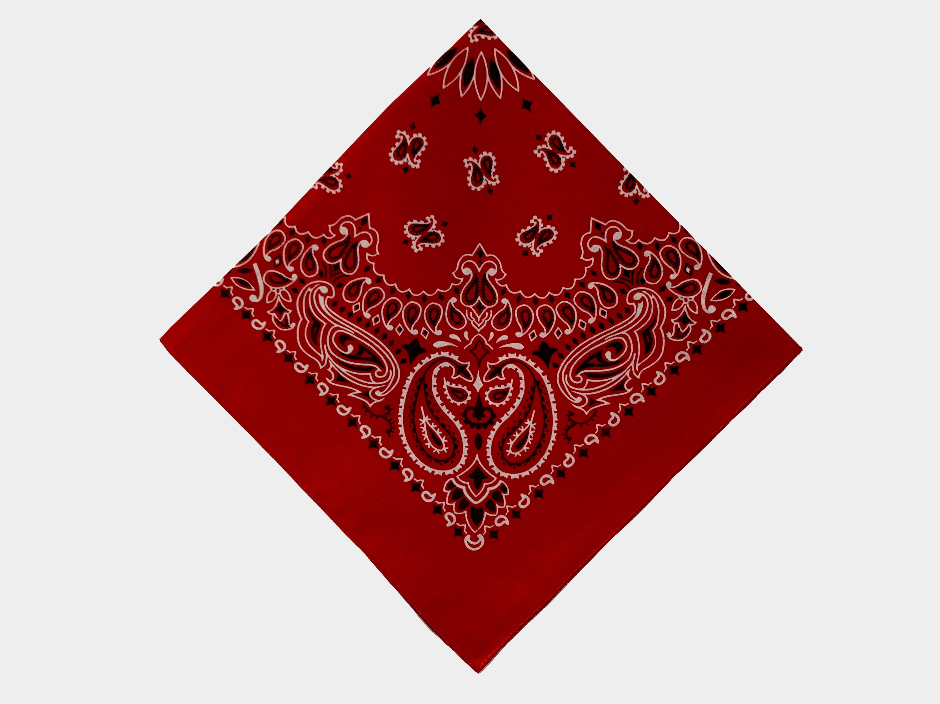 Red Classic Paisley Chainstitched Bandana | Rancho Sueño