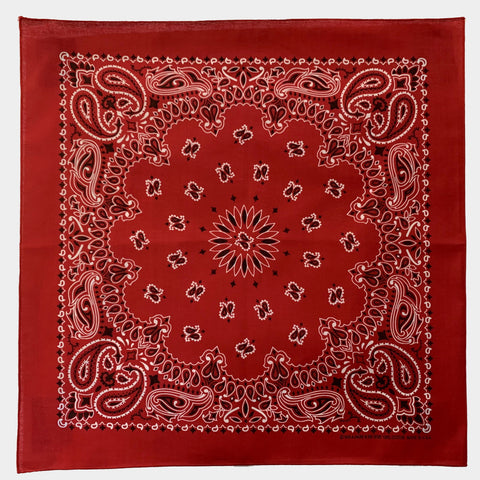 C1511976-0D7E-4796-BE43-